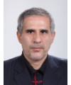 حسن دقیق
